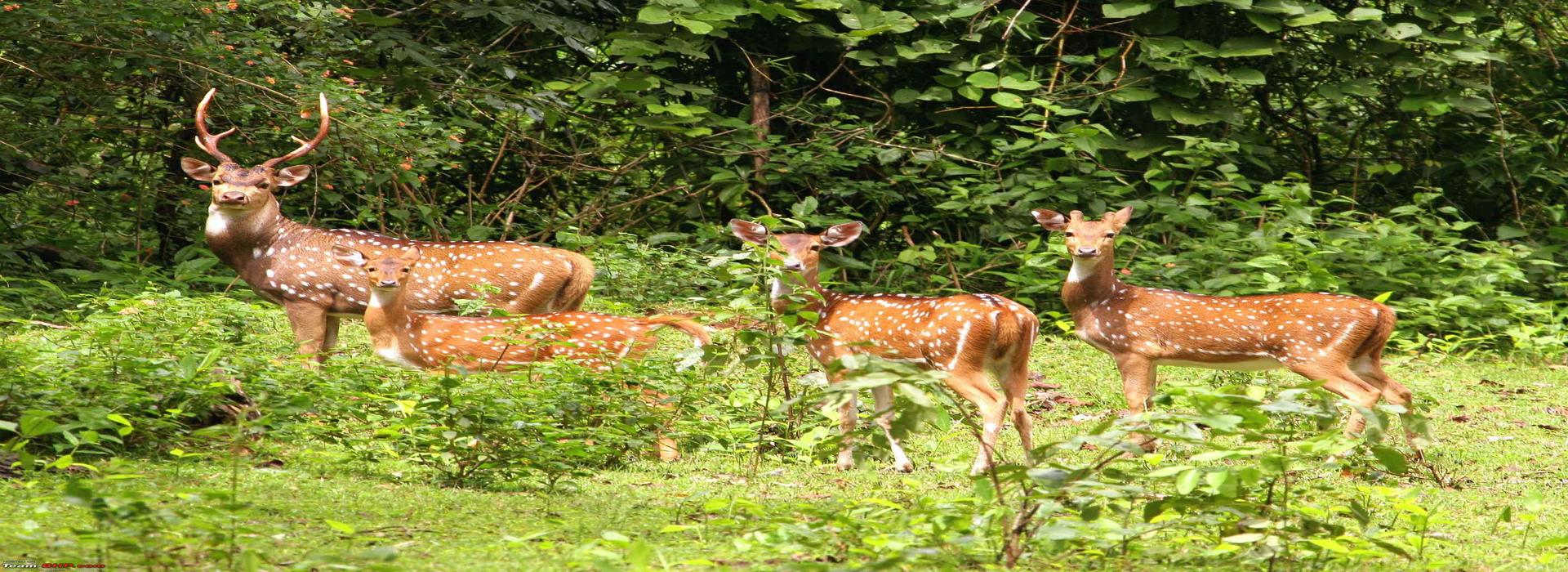 Mystic Meghalaya